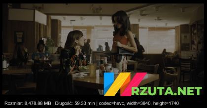 Podgląd pliku