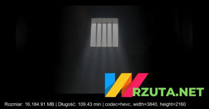 Podgląd pliku