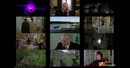 Podgląd pliku