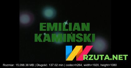 Podgląd pliku