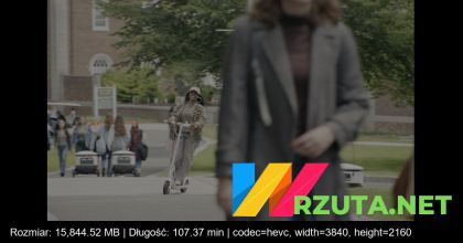 Podgląd pliku