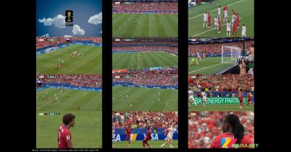 Podgląd pliku