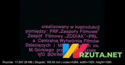 Podgląd pliku