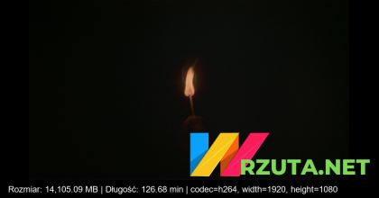 Podgląd pliku