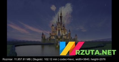 Podgląd pliku