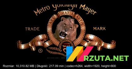 Podgląd pliku