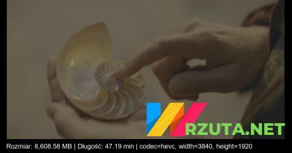 Podgląd pliku