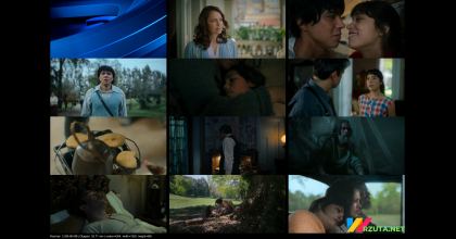 Podgląd pliku