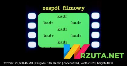 Podgląd pliku