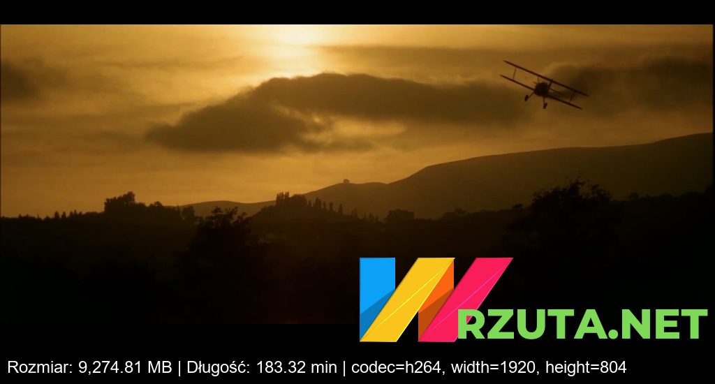 Podgląd pliku