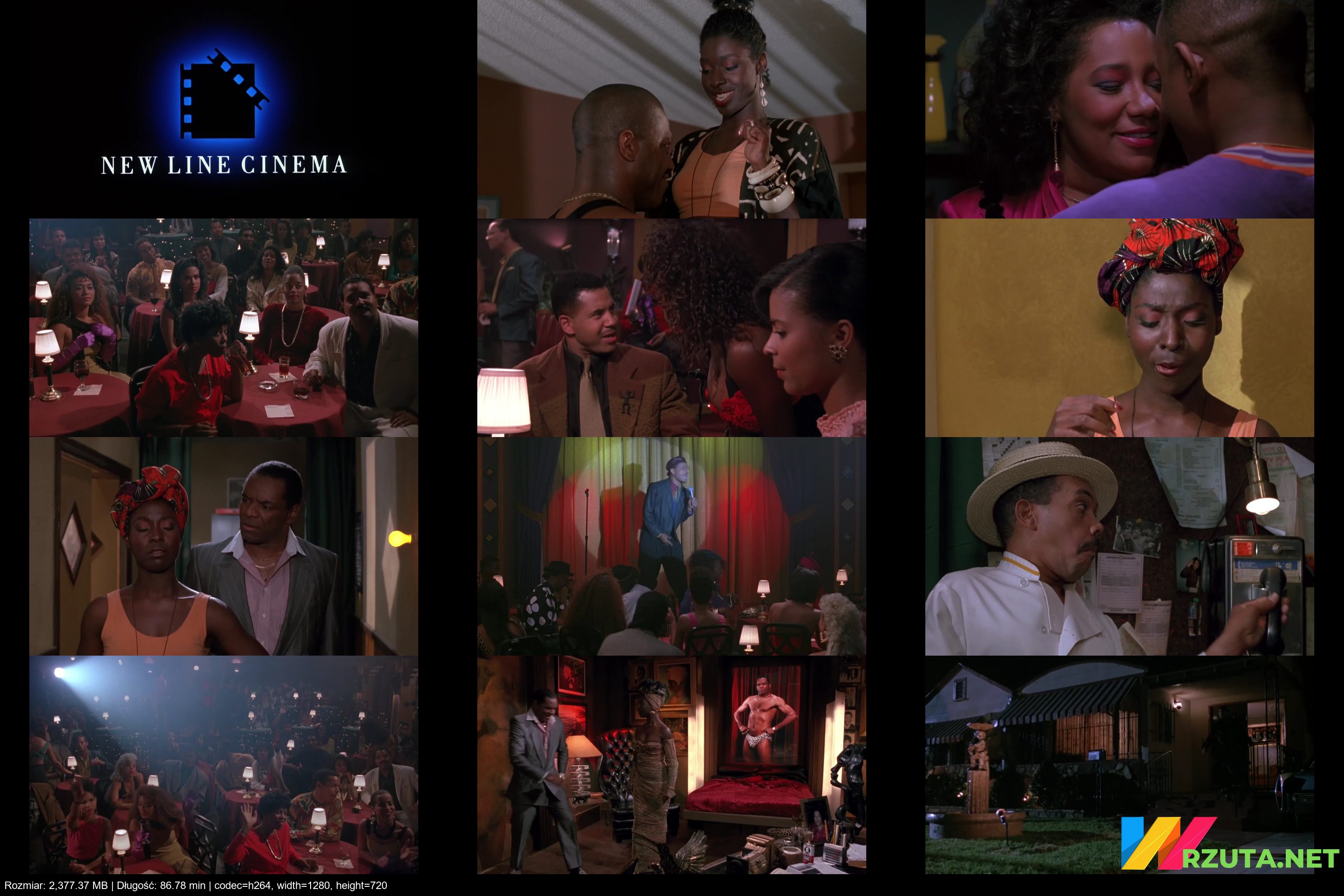 Podgląd pliku