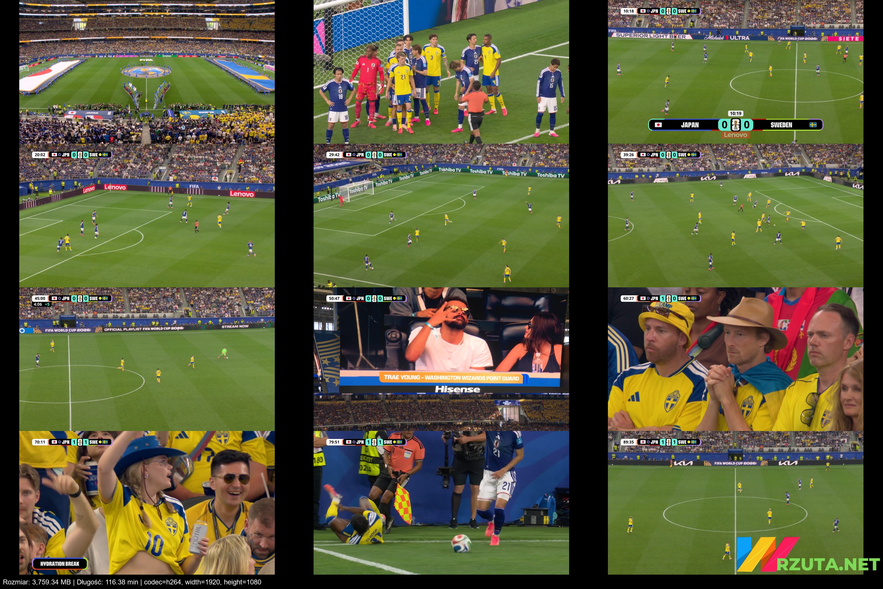 Podgląd pliku