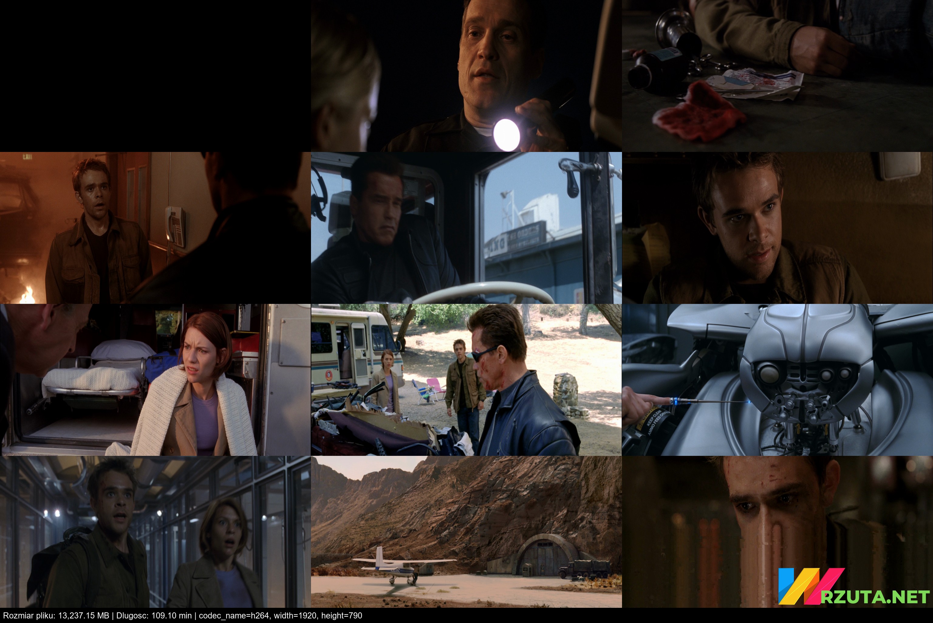 The.Terminator.3.Bunt.Maszyn.2003.MULTi.1080p.BluRay.x264.DTS.AC3-DENDA.mkv