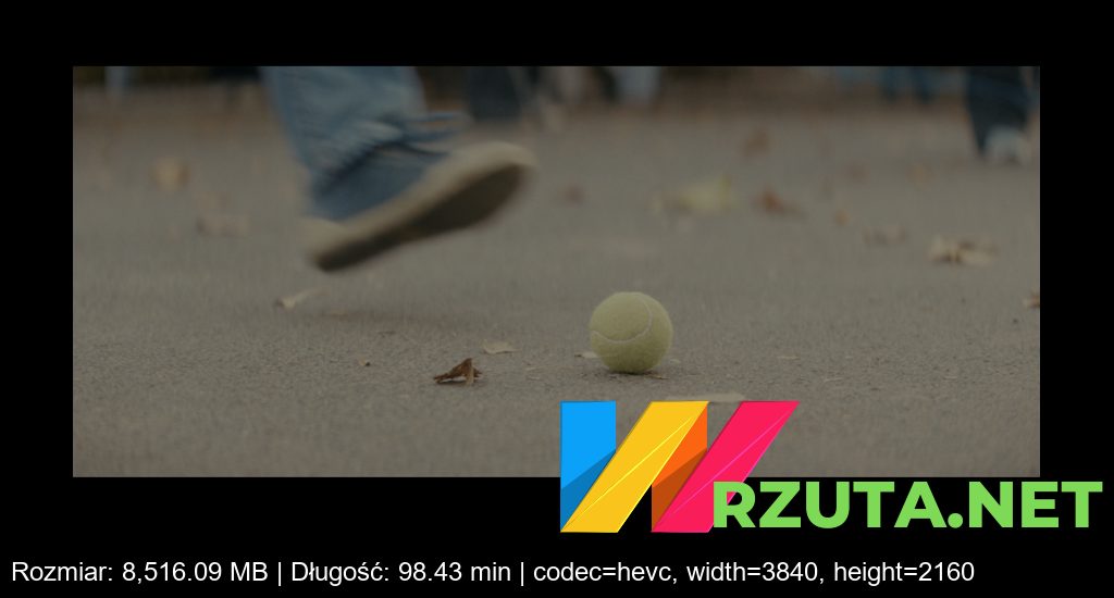 Podgląd pliku