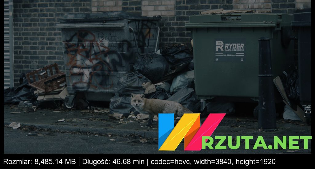 Podgląd pliku