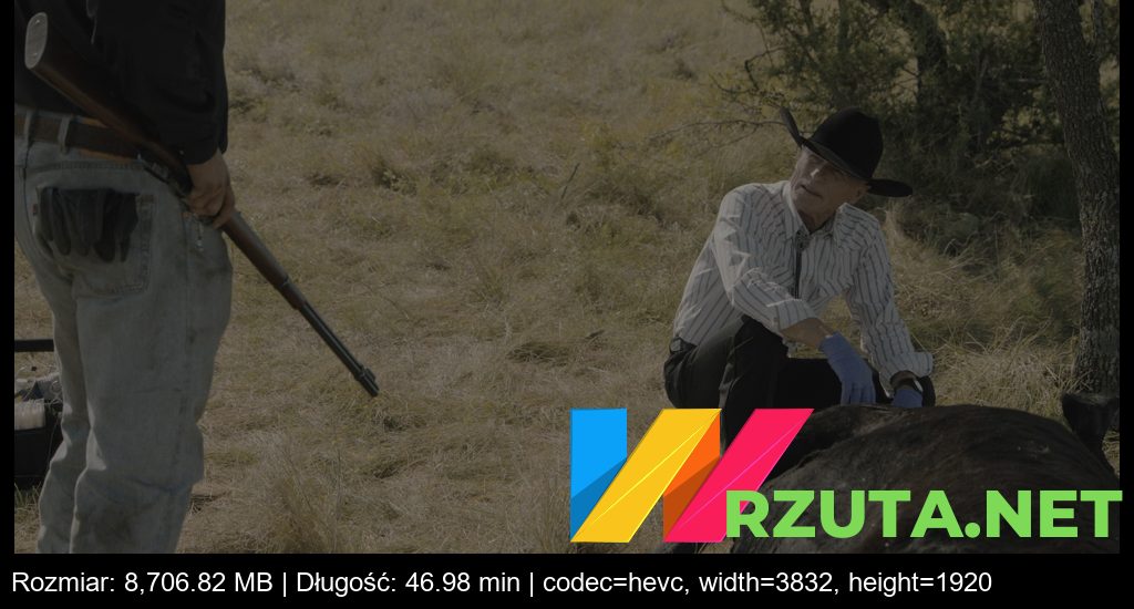 Podgląd pliku