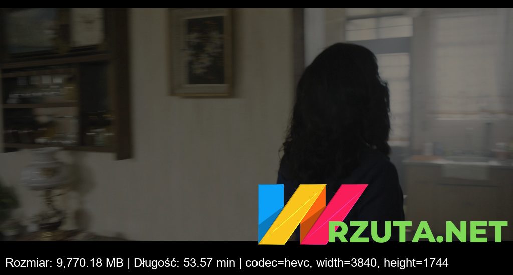 Podgląd pliku