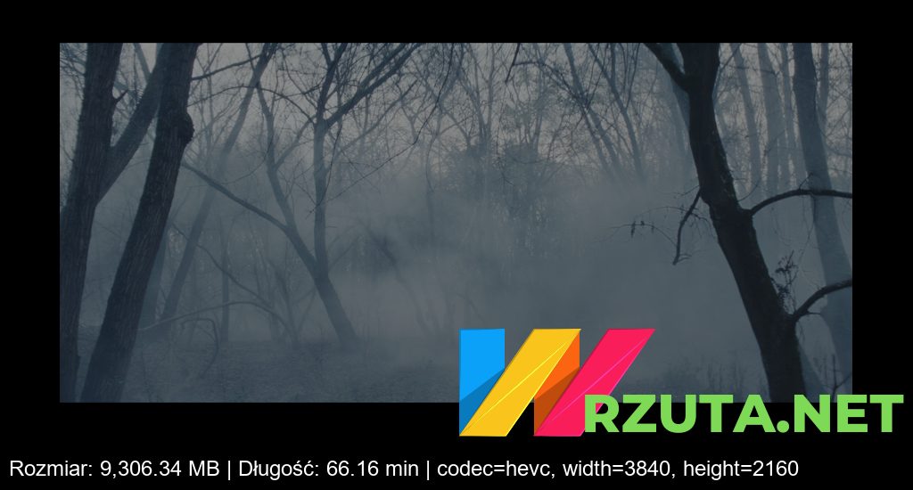 Podgląd pliku