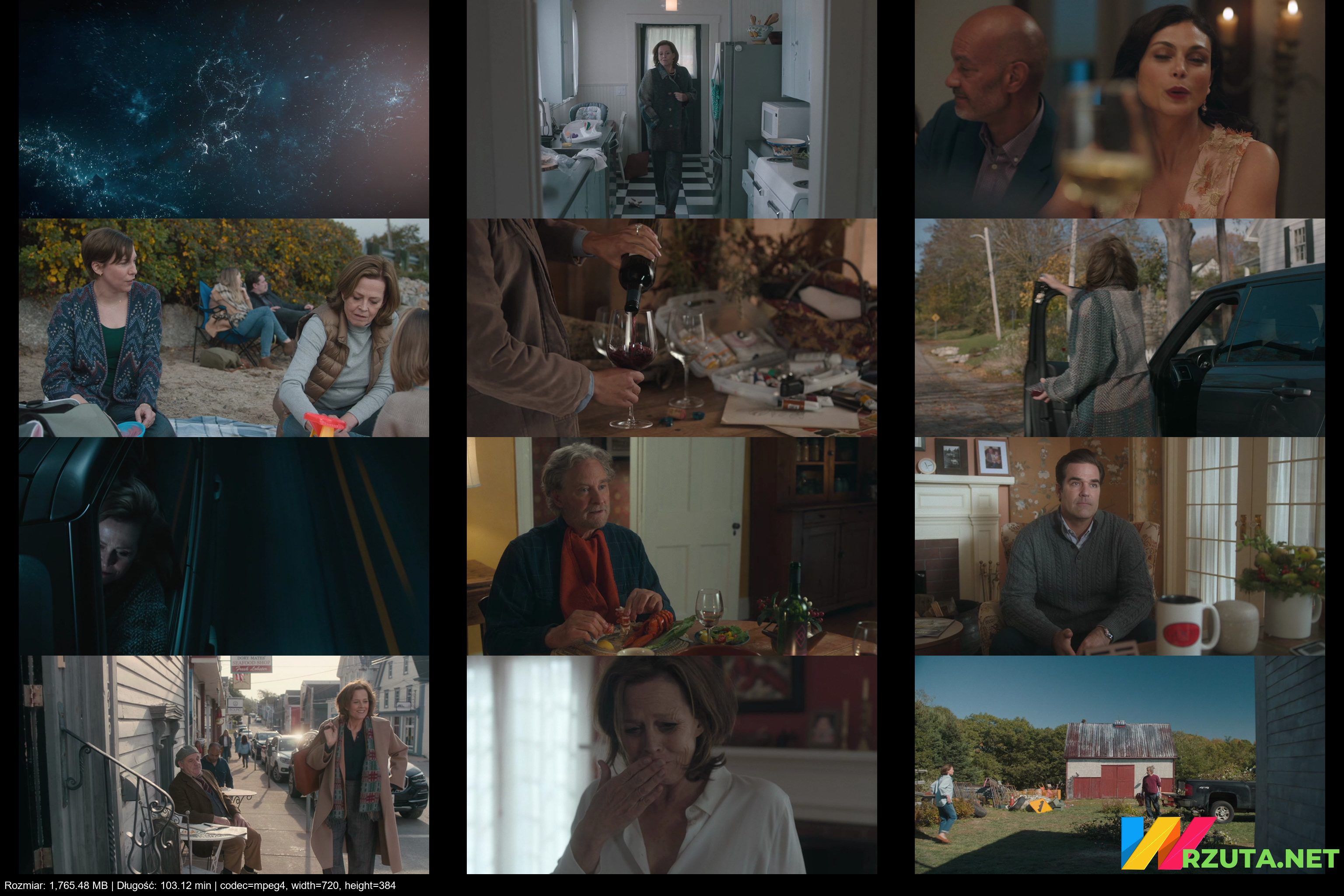 Podgląd pliku