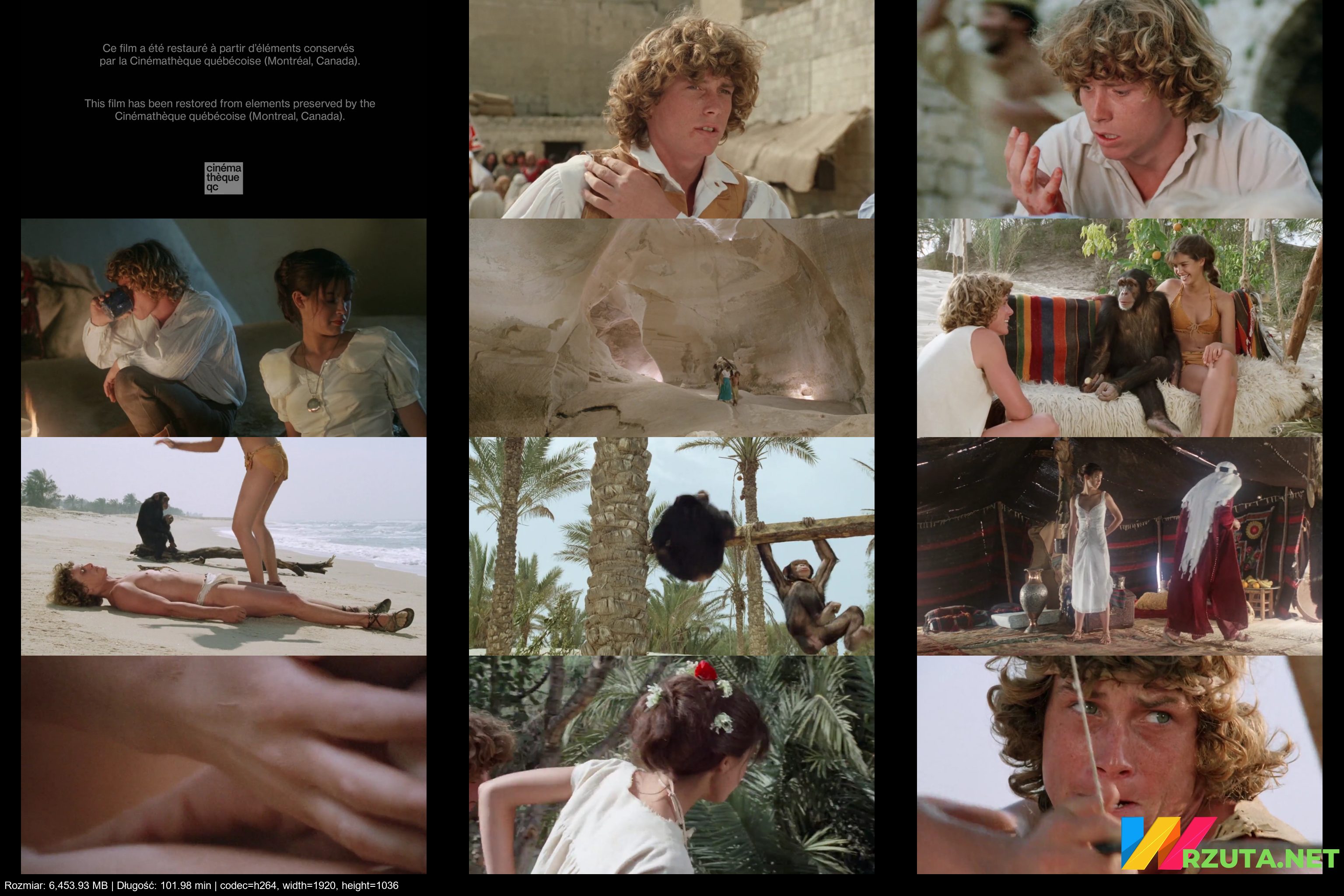 Podgląd pliku