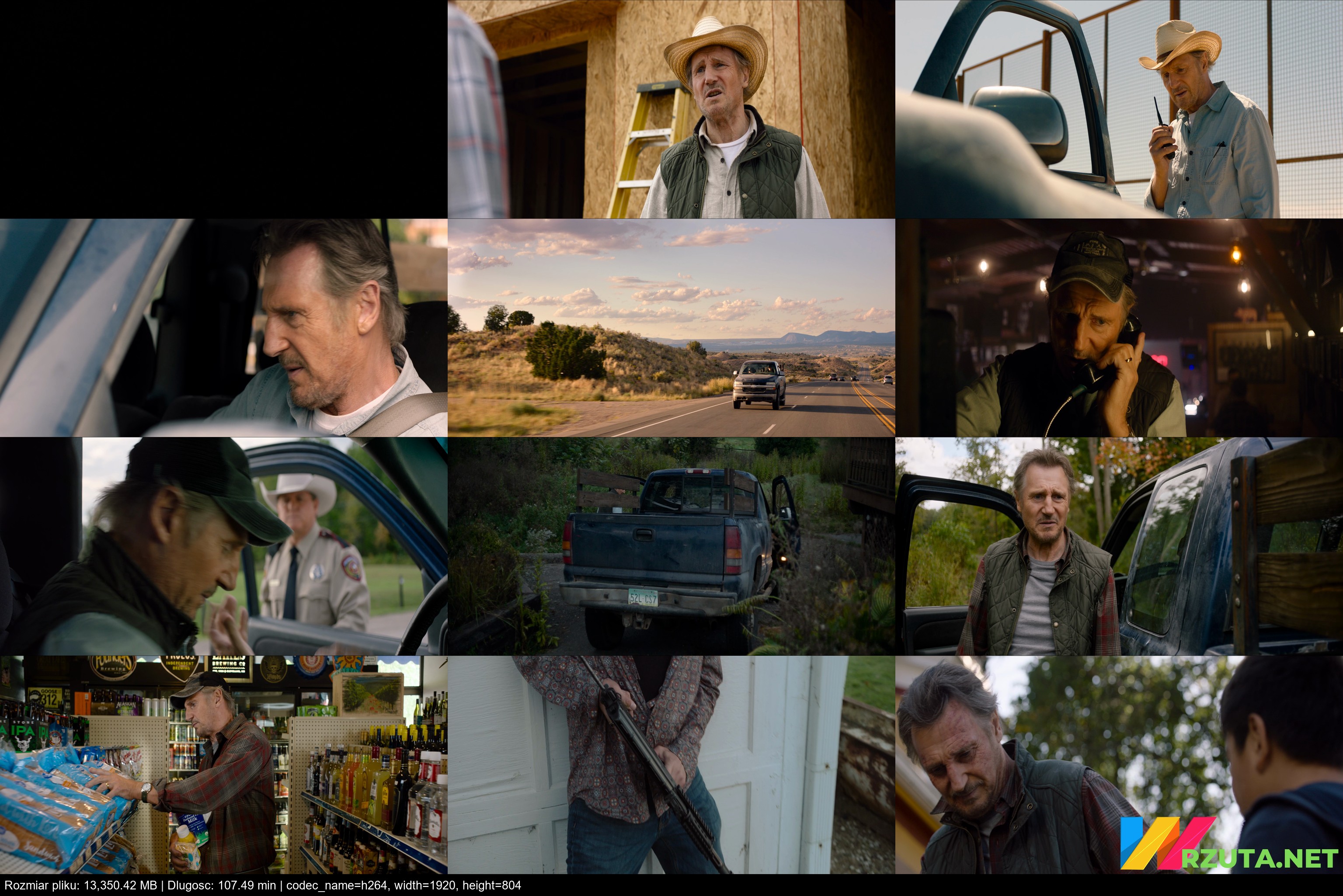 The.Marksman.2021.MULTi.1080p.BluRay.x264.DTS.AC3-DENDA.mkv