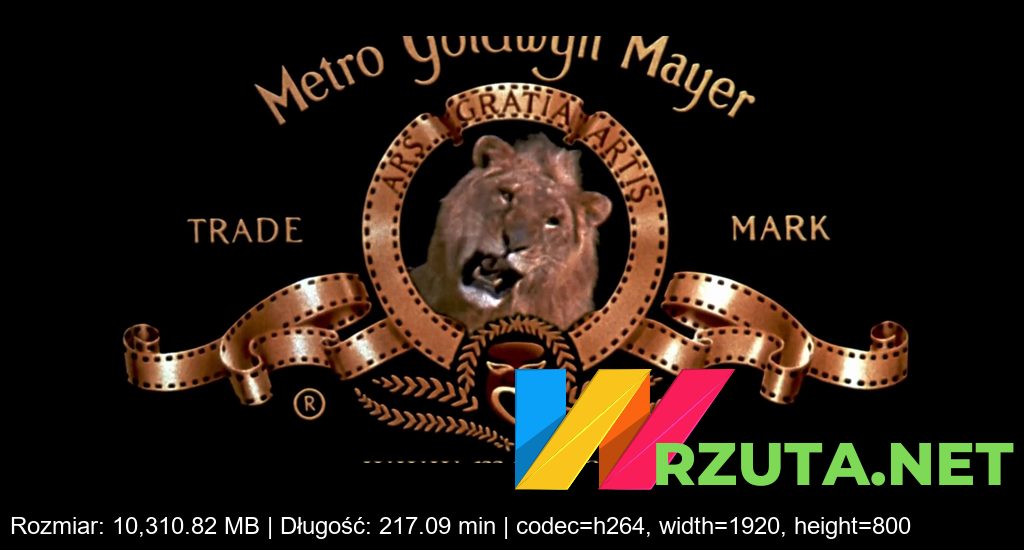 Podgląd pliku