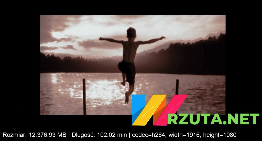 Podgląd pliku