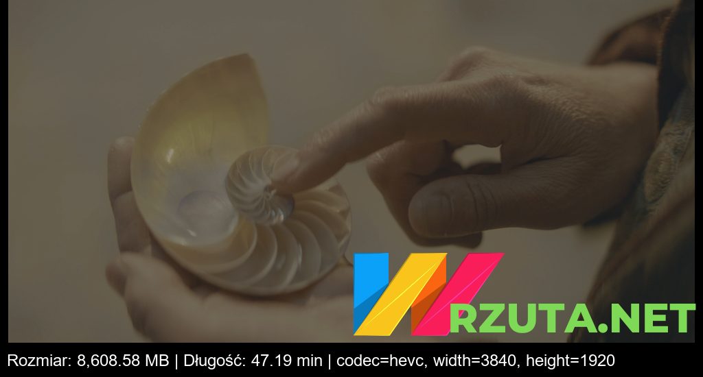 Podgląd pliku
