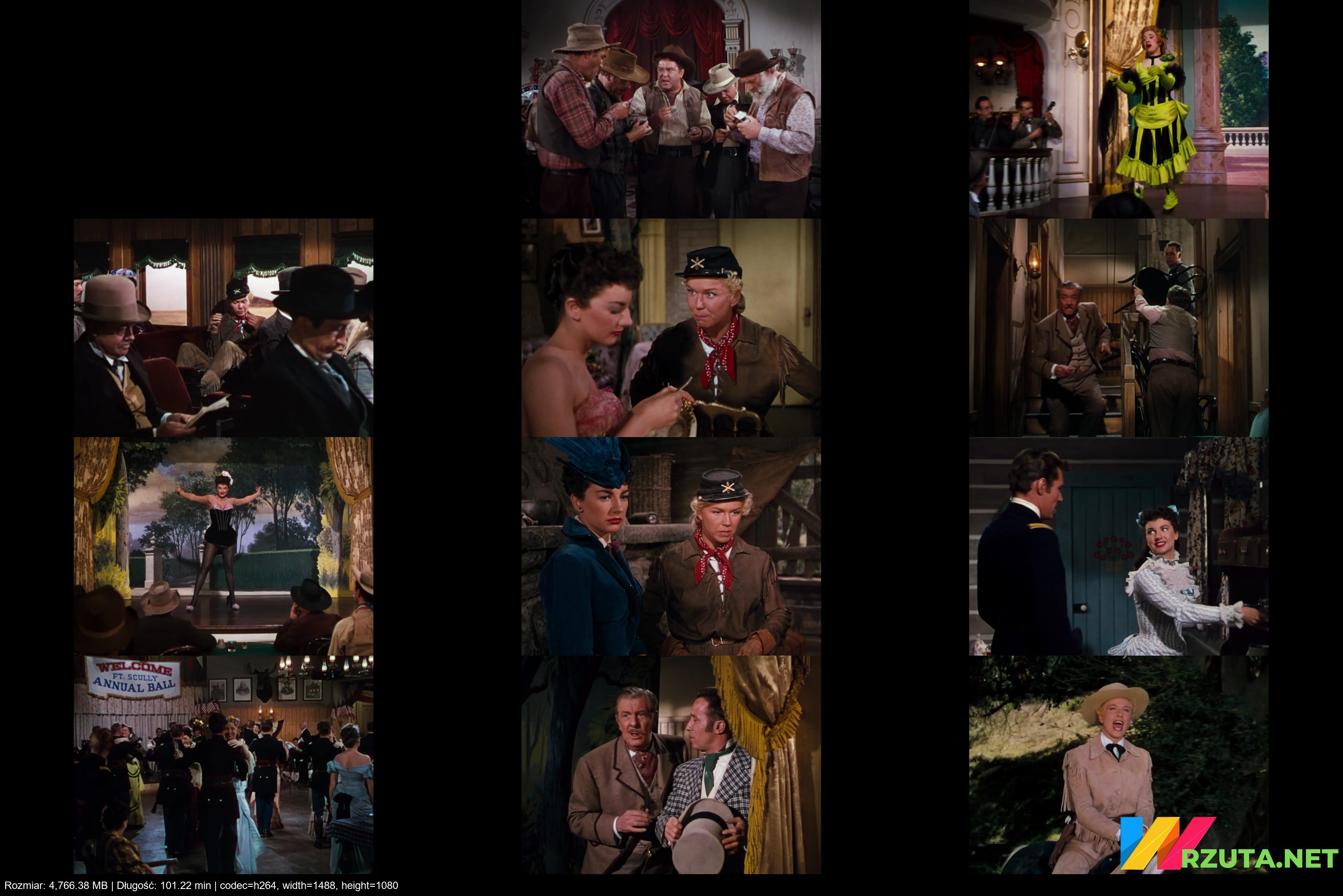 Podgląd pliku