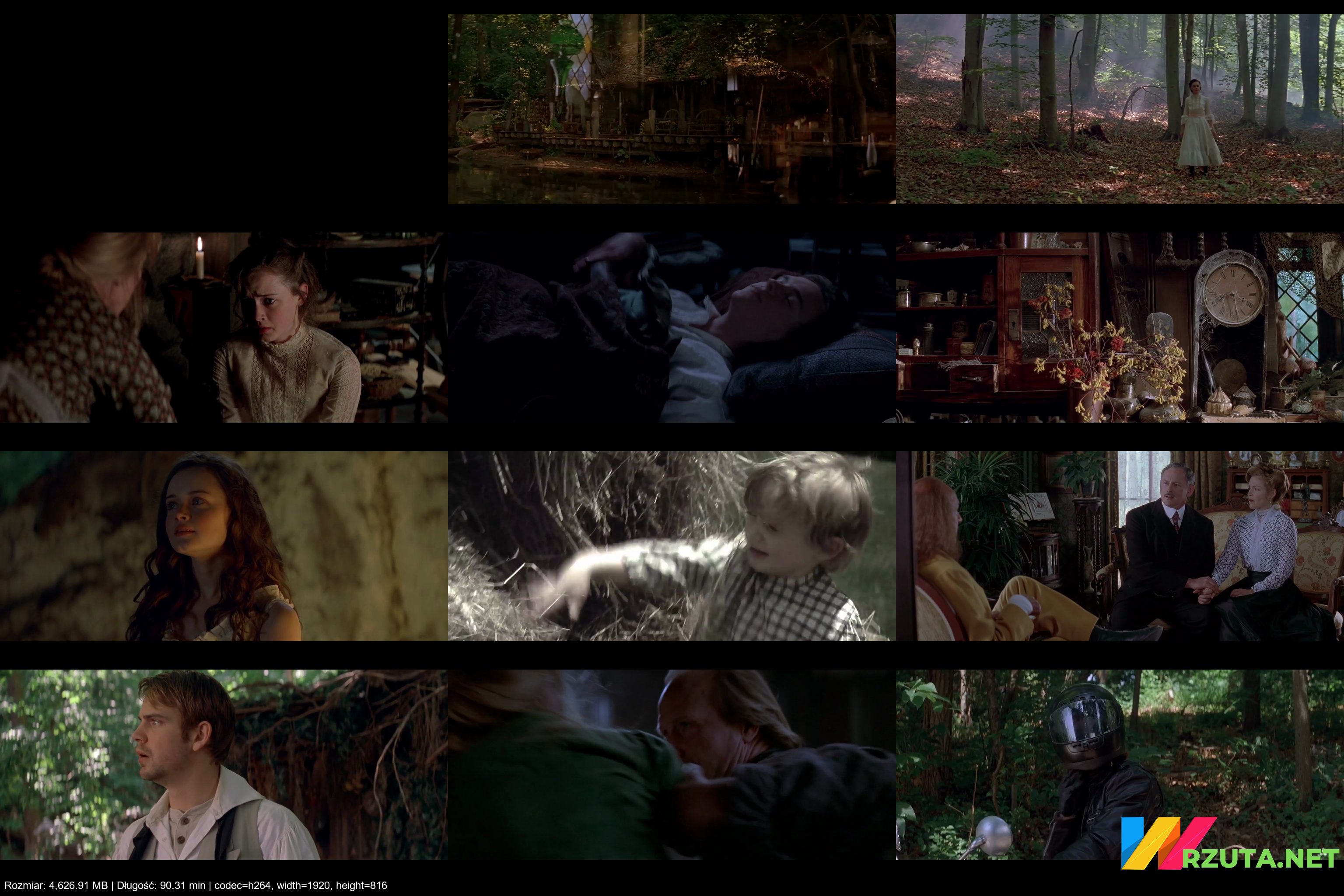 Podgląd pliku