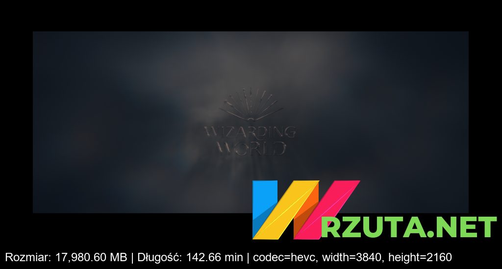 Podgląd pliku
