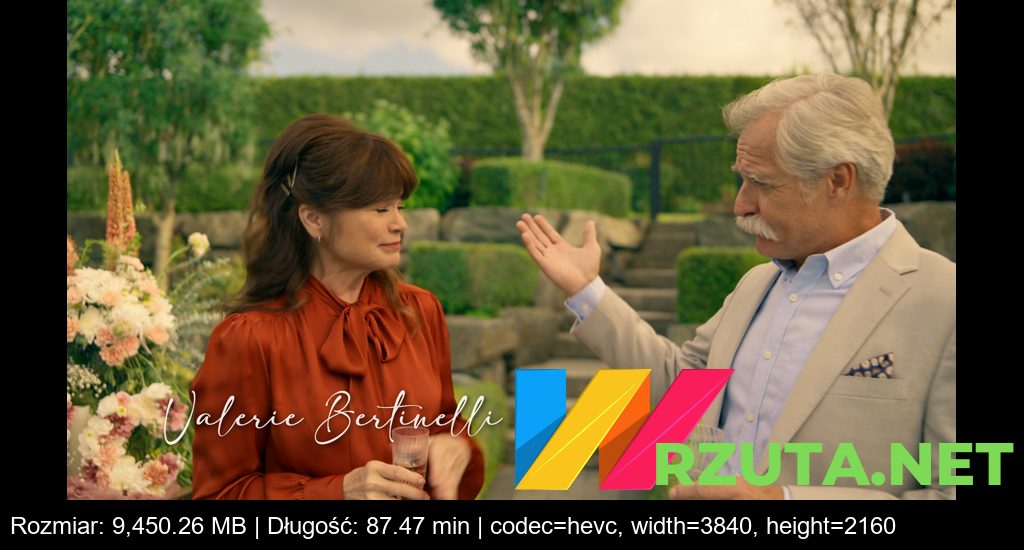 Podgląd pliku